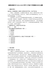 湖南省郴州市2024-2025学年八年级下学期期末语文试题（含答案）