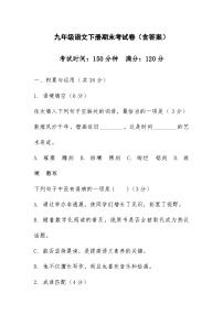 2024-2025学年第二学期湖南省株洲市九年级语文期末试卷（含答案）