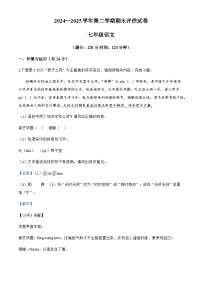 河南省平顶山市宝丰县2024-2025学年七年级下学期期末语文试题（含解析）