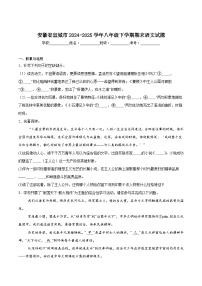 安徽省宣城市2024-2025学年八年级下学期期末考试语文试卷（含答案）