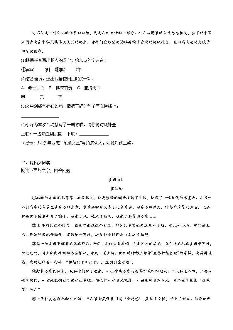 安徽省宣城市2024-2025學(xué)年八年級下學(xué)期期末考試語文試卷(含答案)第2頁