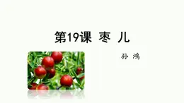 第19課《棗兒》課件-統(tǒng)編版語文九年級下冊