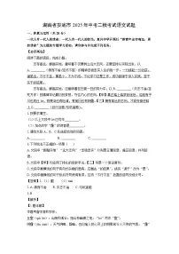 湖南省娄底市2025年中考二模[中考模拟]考试语文试卷（解析版）