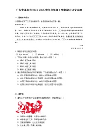 广东省茂名市2024-2025学年七年级下学期期末语文试题（含答案）