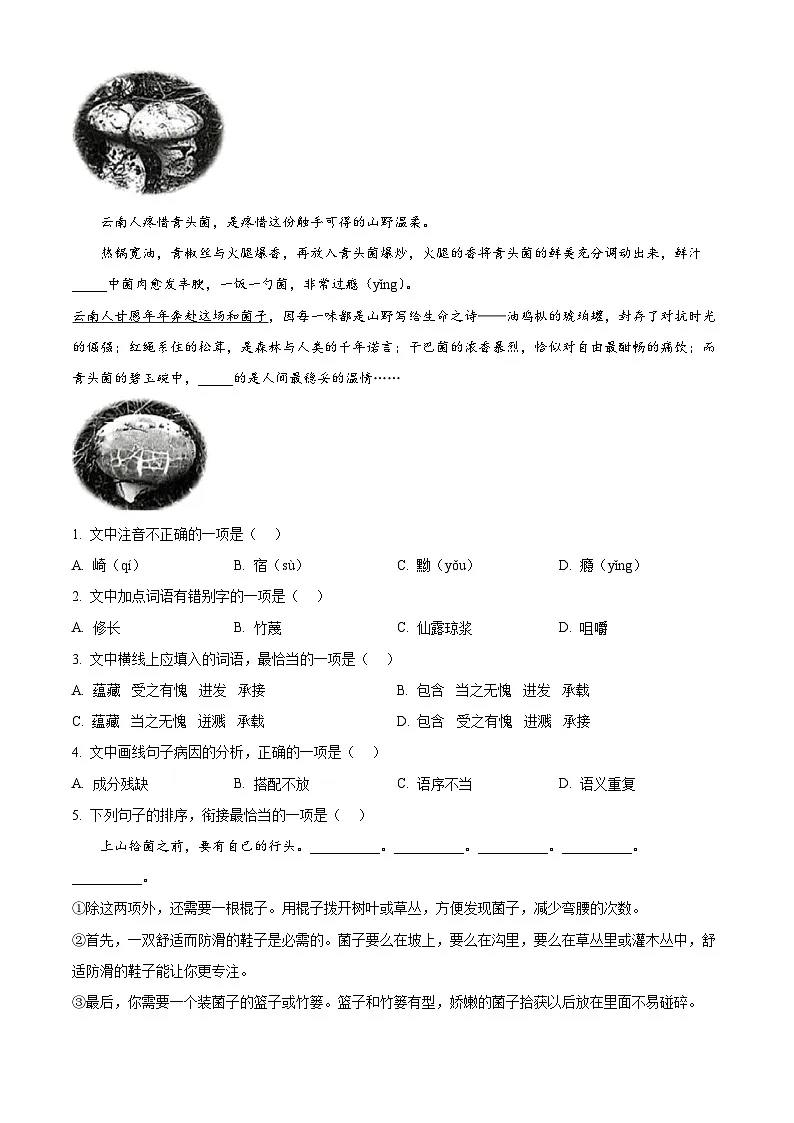 云南省昆明市2024-2025学年七年级下学期期末语文试题(含答案)第2页