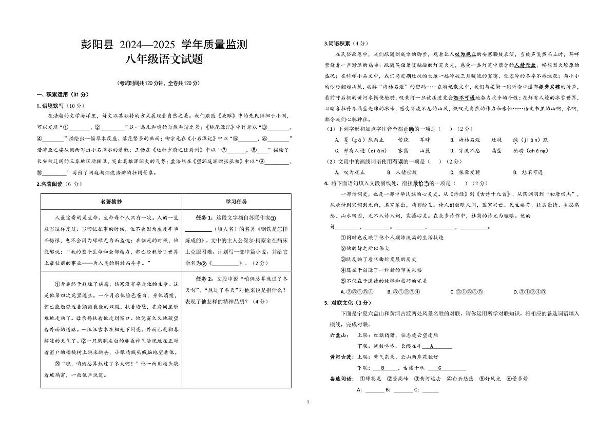 宁夏固原市彭阳县2024-2025学年八年级下学期期末考试语文试卷第1页