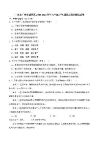 广东省广州市番禺区2024-2025学年八年级下学期语文期末测试试卷（含答案）