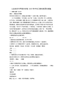 山东省济宁市部分学校2025年中考二模[中考模拟]考试语文试卷（解析版）
