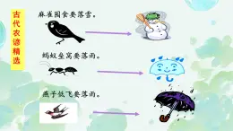 第5課《大自然的語言》課件 2025-2026學(xué)年統(tǒng)編版語文八年級(jí)下冊(cè)