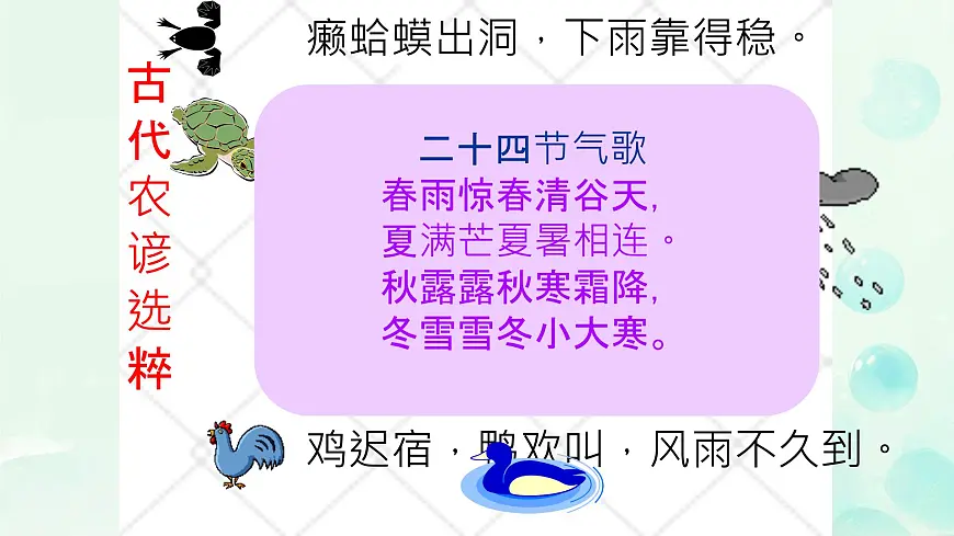 第5课《大自然的语言》课件 2025-2026学年统编版语文八年级下册第2页