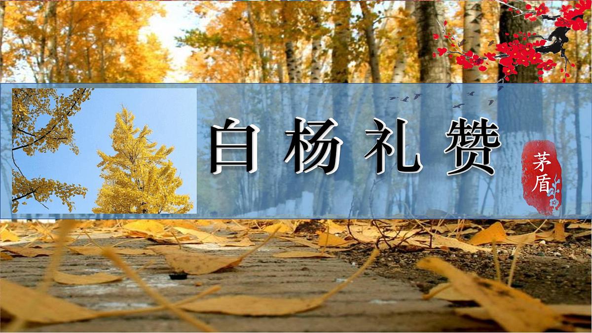 第16课《白杨礼赞》课件-2025-2026学年统编版语文八年级上册第1页