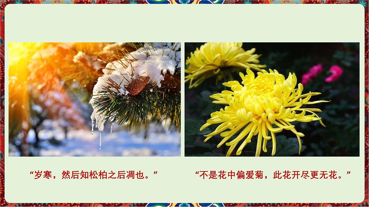 第16课《白杨礼赞》课件-2025-2026学年统编版语文八年级上册第4页