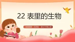 人教部編版（五四制）語文六年級上冊（2024） 22《表里的生物》（版本1） 課件