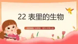 人教部编版（五四制）语文六年级上册（2024） 22《表里的生物》（版本1） 课件