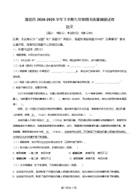 福建省莆田市2024-2025 学年七年级下学期期末语文试题（含答案）