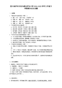 四川省泸州市龙马潭区泸化中学2024-2025学年八年级下学期期末语文试题（解析版）