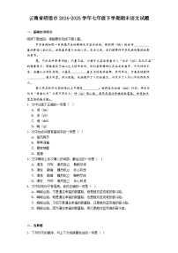 云南省昭通市2024-2025学年七年级下学期期末语文试题（解析版）