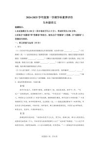 2024~2025学年安徽省合肥市第四十五中学九年级上学期期末语文试卷
