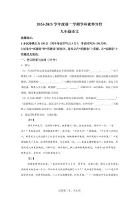 2024~2025学年安徽省合肥市第四十五中学九年级上学期期末语文试卷