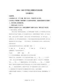2024~2025学年河南省周口市沈丘县九年级上学期期末语文试卷