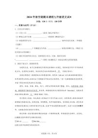2024~2025学年江苏省盐城市盐城经济技术开发区九年级上学期期末语文试卷