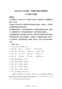 2024~2025学年山东省滨州市惠民县九年级上学期期末语文试卷