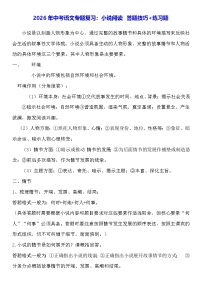 2026年中考语文专题复习：小说阅读 答题技巧+练习题（含答案解析）