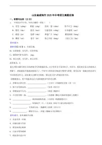 山东省威海市2025年中考语文真题试卷及同步解析