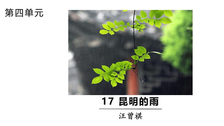 統(tǒng)編版語(yǔ)文八年級(jí)上冊(cè)18《昆明的雨》課件第1頁(yè)