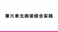 初中语文人教部编版(2024)七年级上册(2024)阅读综合实践习题课件ppt
