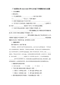 广东省阳江市2024-2025学年七年级下学期期末语文试题