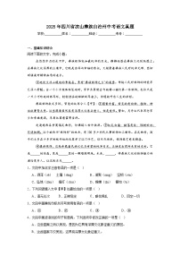2025年四川省凉山彝族自治州中考语文真题原卷+解析