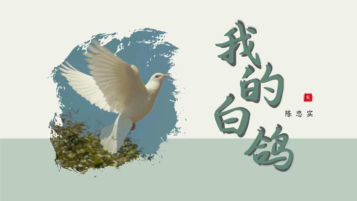 七年级语文上册部编版18.《我的白鸽》课件第1页