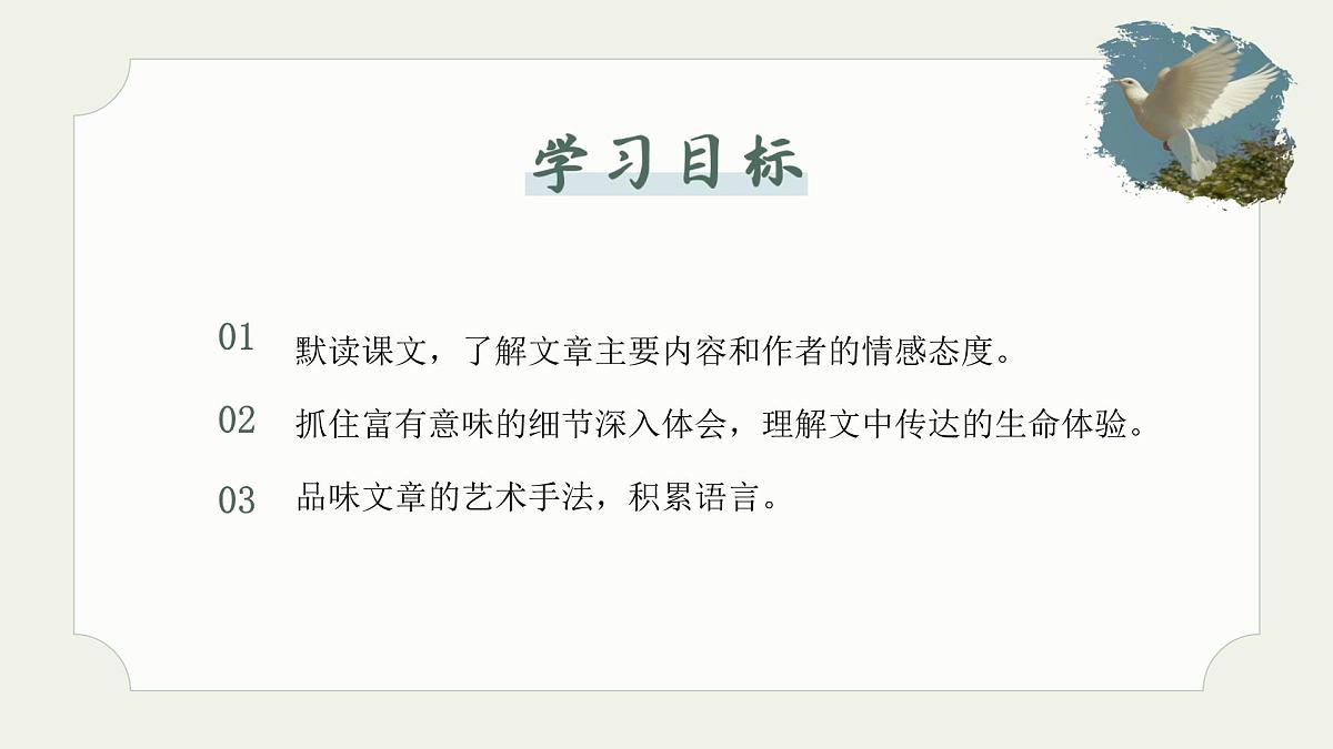 七年级语文上册部编版18.《我的白鸽》课件第2页