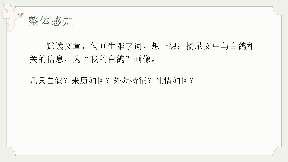 七年级语文上册部编版18.《我的白鸽》课件第5页