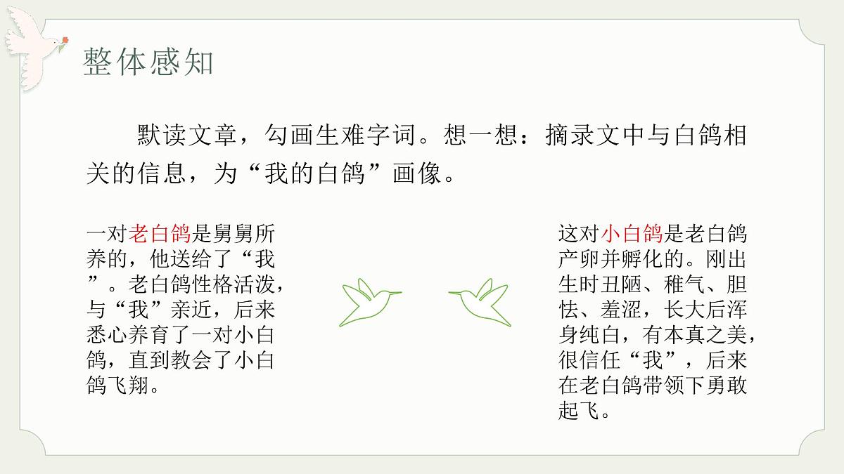 七年级语文上册部编版18.《我的白鸽》课件第6页