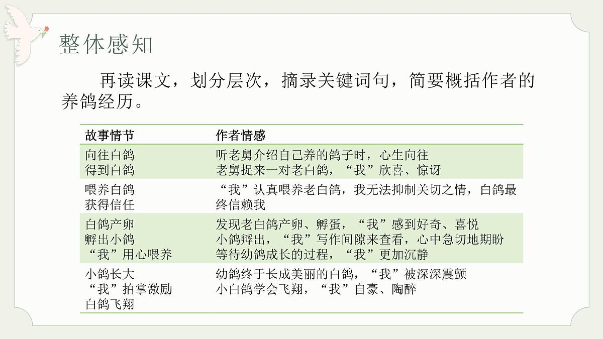 七年级语文上册部编版18.《我的白鸽》课件第8页