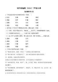初中语文人教部编版(2024)七年级上册(2024)雨的四季/刘湛秋优秀课时训练
