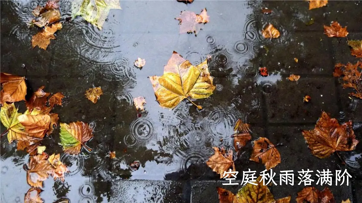 第3课《雨的四季》课件 2024-2025学年统编版语文七年级上册第4页