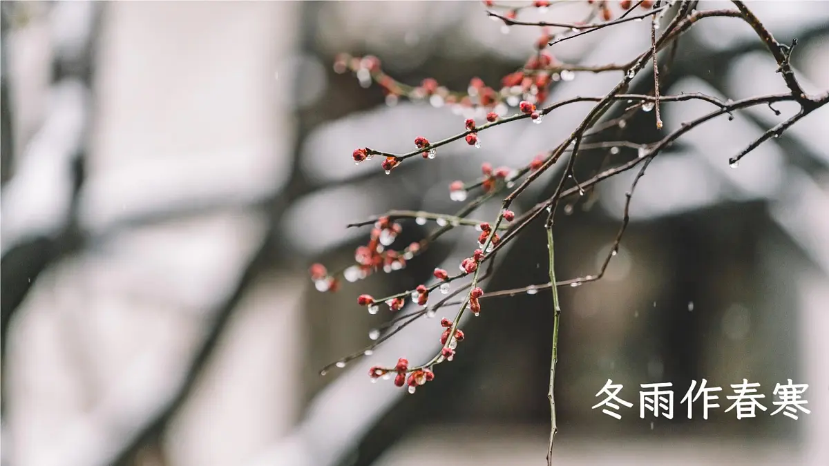 第3课《雨的四季》课件 2024-2025学年统编版语文七年级上册第5页