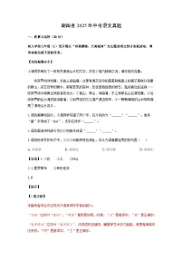 湖南省2025年中考真题语文试卷(解析版)