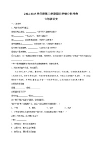 江苏省南京市栖霞区2024-2025学年七年级下学期期末语文试题（含答案解析）