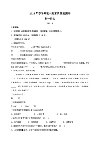 江苏省无锡市滨湖区2024-2025学年七年级下学期期末语文试题（含答案解析）