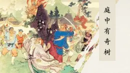 統(tǒng)編版（部編版）（2024）八年級(jí)語(yǔ)文上冊(cè)第三單元課外古詩(shī)詞誦讀《庭中有奇樹(shù)》教學(xué)課件