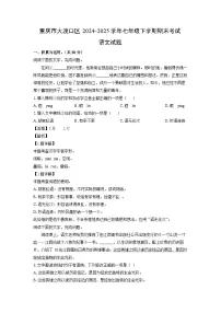 【语文】重庆市大渡口区2024-2025学年七年级下学期期末考试试题(解析版)