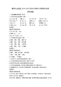 【语文】重庆九龙坡区2024-2025学年七年级下学期期末考试试题（解析版）