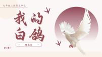 语文七年级上册(2024)我的白鸽/陈忠实多媒体教学ppt课件