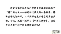 初中语文人教部编版（2024）八年级上册（2024）19 中国石拱桥/茅以昇课文内容课件ppt