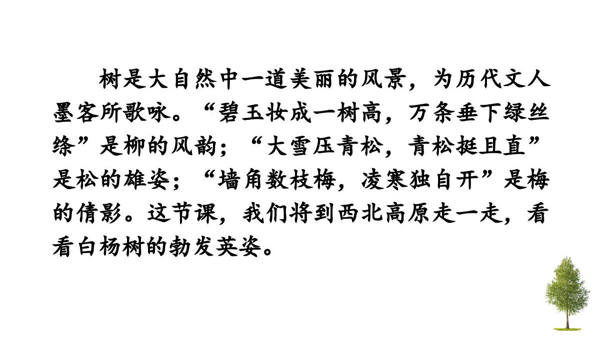 统编版语文八年级语文上册16 白杨礼赞 课件第1页
