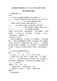 【语文】安徽省池州市青阳县2024-2025学年七年级下学期期末考试试题（解析版）